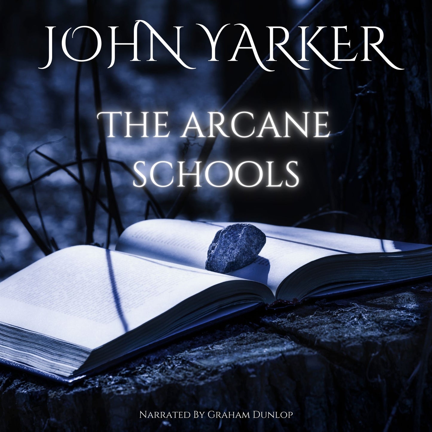 The Arcane Schools. John Yarker AUDIOBOOK